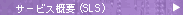 �T�[�r�X�T�v�iSLS�j