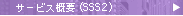 �T�[�r�X�T�v�iSSS2�j